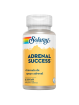 Solaray adrenal success