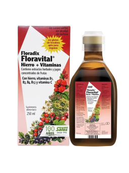 Floradix Floravital hierro + vitaminas 250 ml