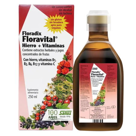 Floradix Floravital hierro + vitaminas 250 ml