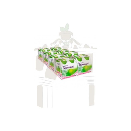 Souvenaid fresa 125 ml 32 botellas