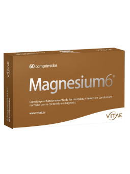 Magnesium 6 60 comprimidos