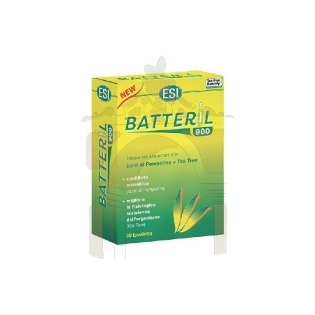 Batteril 900 esi