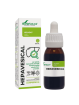 Soria Natural Composor 03 Hepavesical XXI 50 ml