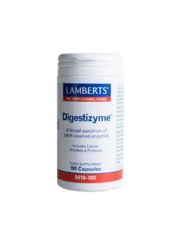 Digestizyme 100 caps lamberts