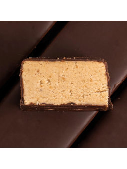 Fizi barrita proteínas hazelnut + choco 45g