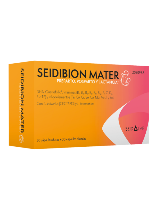 Seidibion mater