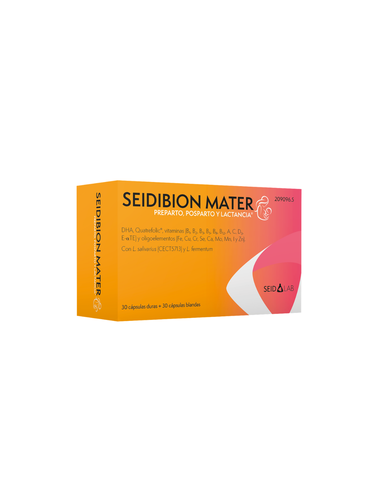 Seidibion mater