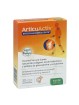 SANTE VERTE ARTICUACTIV ARTICULACIONES FORTE 30 COMPRIMIDOS
