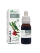 Soria natural XXI extracto de gayuba 50ml