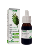 Soria Natural extracto de alpiste 50ml siglo XXI