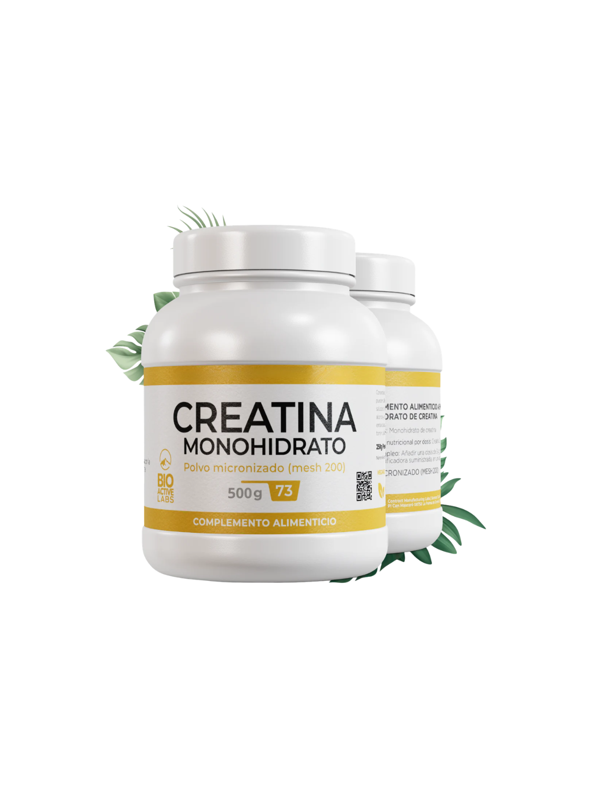 Bioactive labs creatina monohidrato 500g