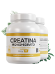Bioactive labs creatina monohidrato 500g