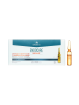 Endocare radiance c proteoglicanos oilfree ampollas