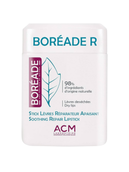 Boreade R stick reparador