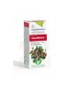 Esential Aroms Aceite Esencial Gaulteria BIO 10 ml