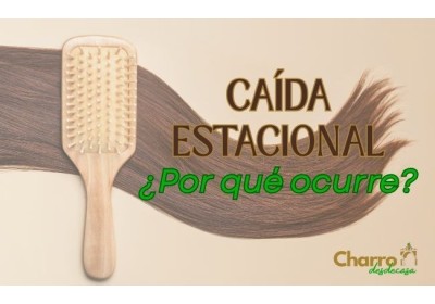 Caída del cabello estacional: causas y cómo cuidarlo image
