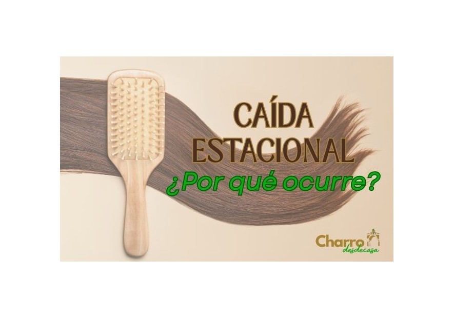 Caída del cabello estacional: causas y cómo cuidarlo